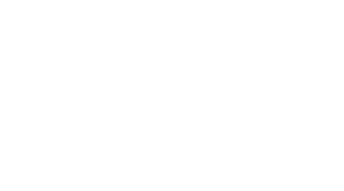 Partner 2